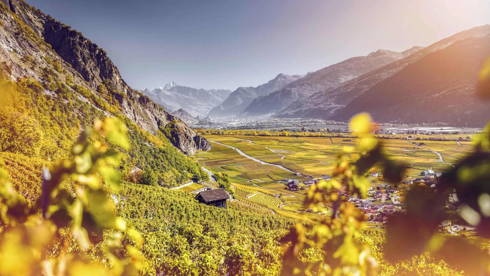 2017-automne-oenotourisme-vignoble-18-valais-wallis-promotion-frederic-huber